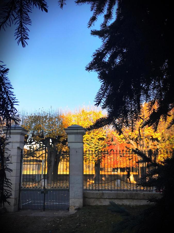 Manoir 1838 A - 3 Km Du Zoo De Beauval & Proche Des Chateaux Saint-Aignan  Ngoại thất bức ảnh